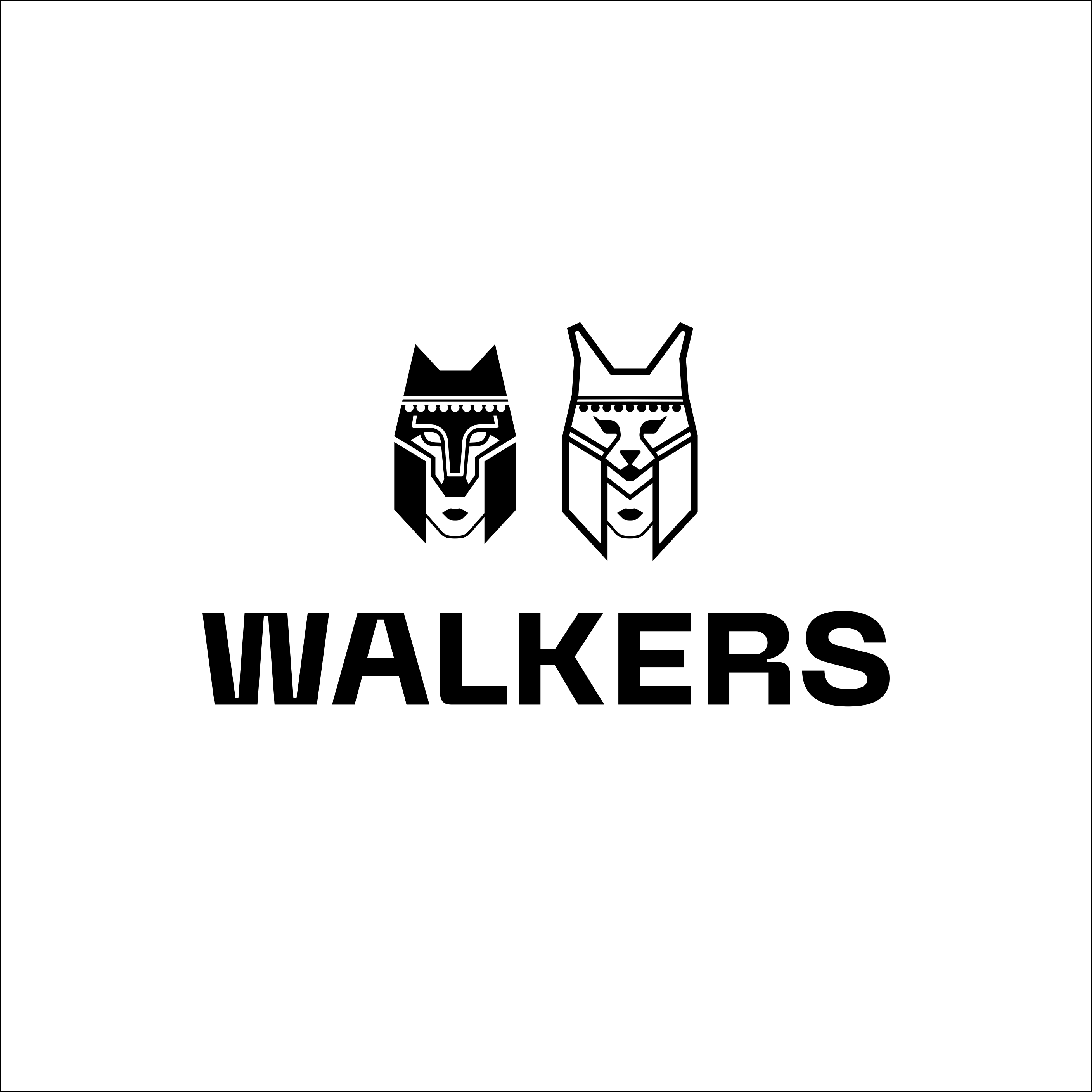 Walkerstravel