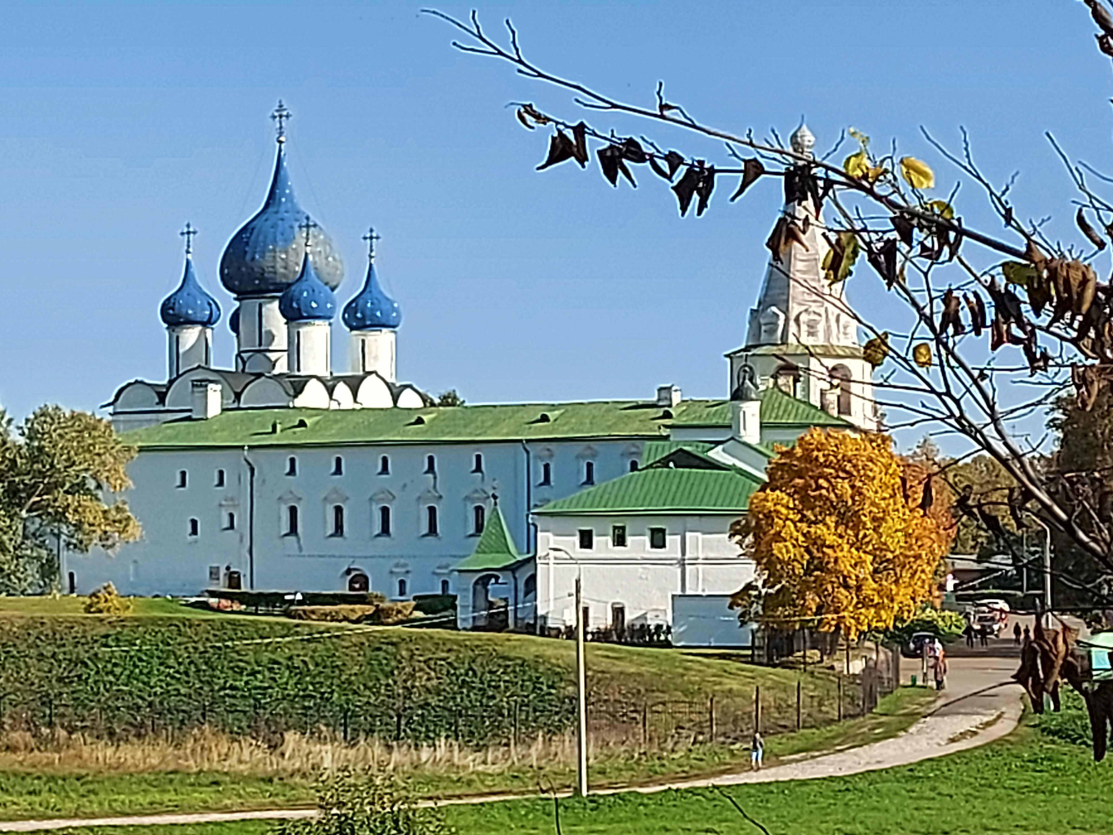 Экскурсия В Суздаль. Путешествие В Древнюю Русь. Впечатления на Wildberries  Travel