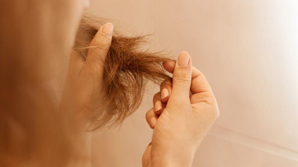 Восстанавливаем локоны: 5 лучших сывороток для кончиков волос • Блог Cosibella