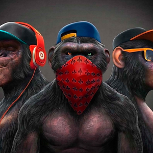 Команда three monkeys