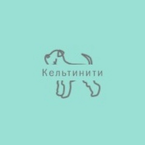 Кельтинити шоп