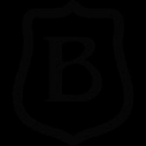 Bottic