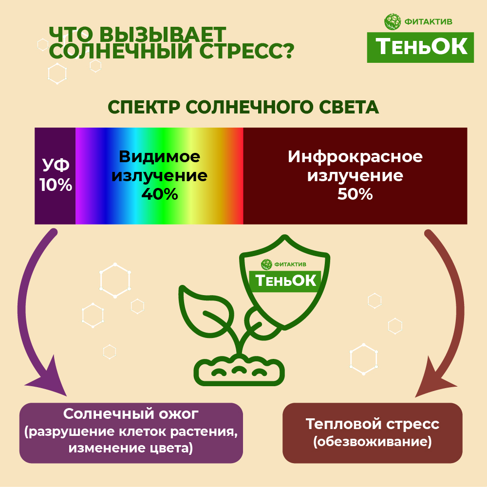 Как выбрать картридж для принтера и МФУ?