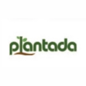 Plantada