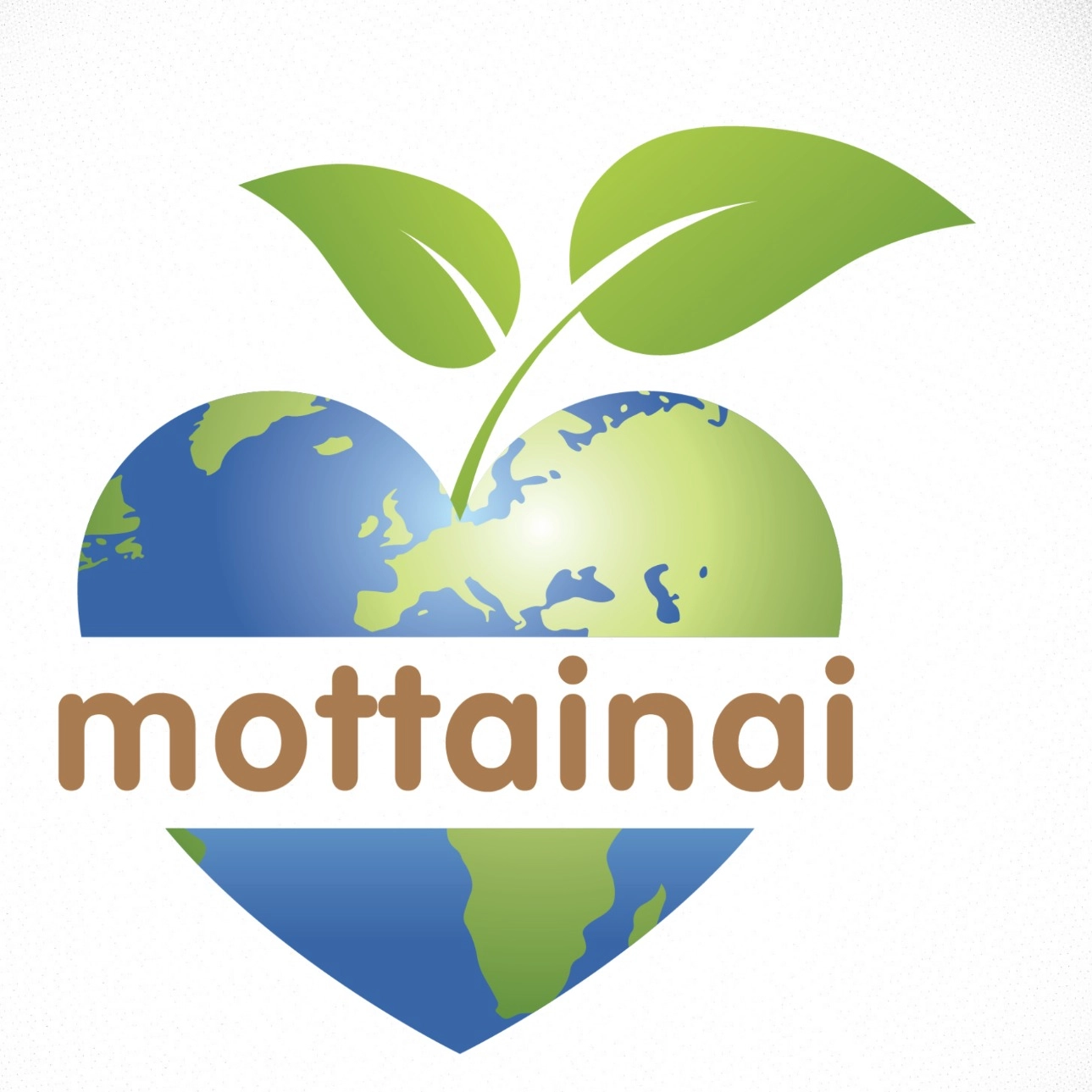 Команда MOTTAINAI