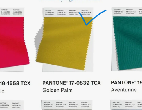 Модные цвета Pantone Осень-Зима 2024/2025