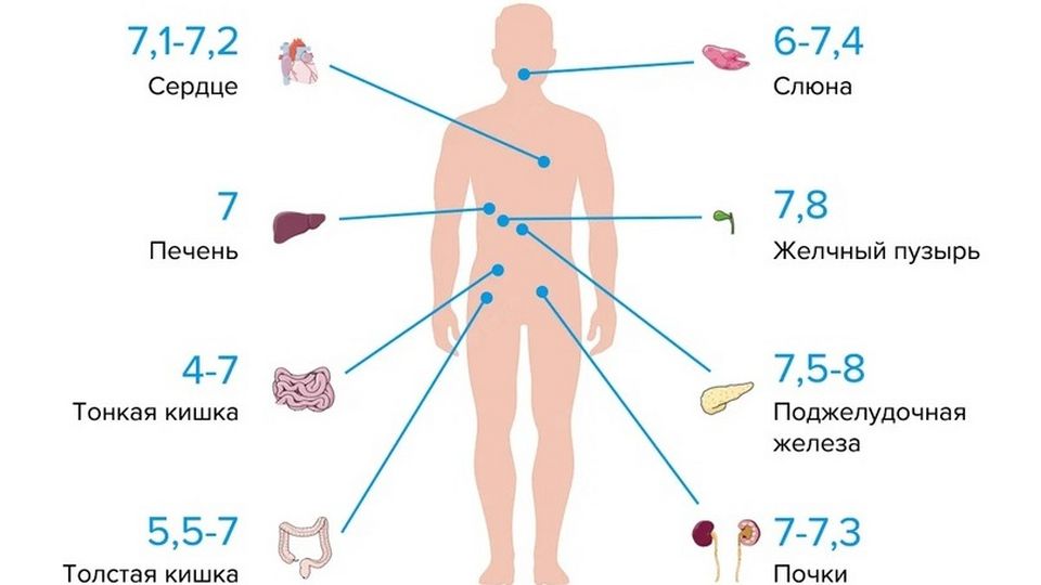 Инструкция по эксплуатации и обслуживанию бассейна