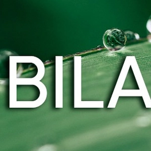 Bilanc