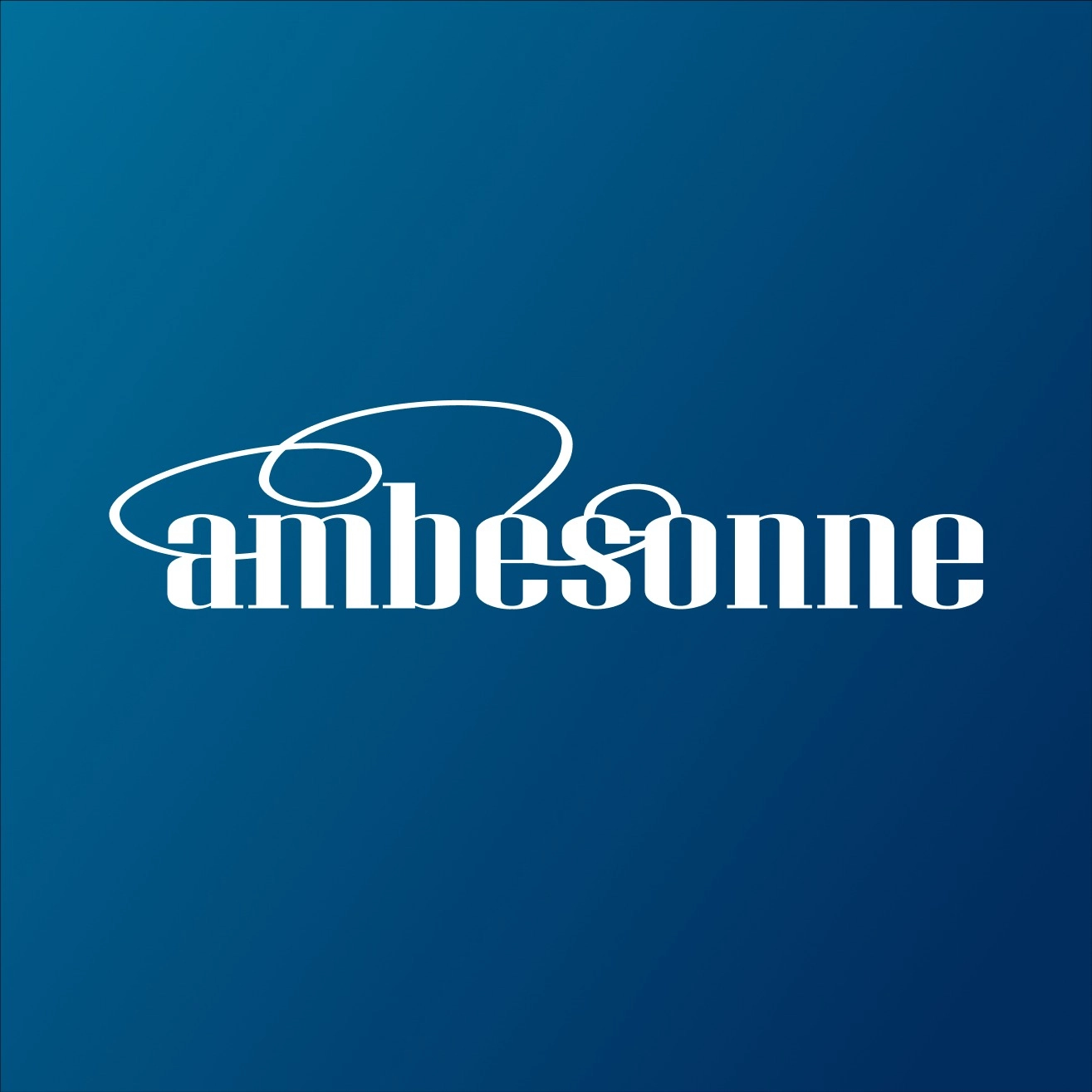 Ambesonne