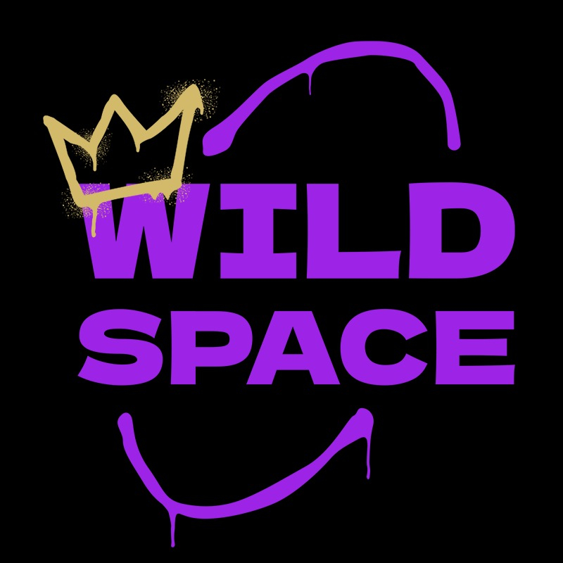 WildSpace студия дизайна