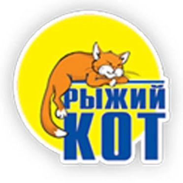 Рыжий кот.