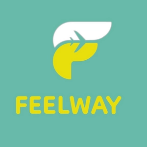 FEELWAY - всё для путешествий