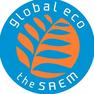 THE SAEM