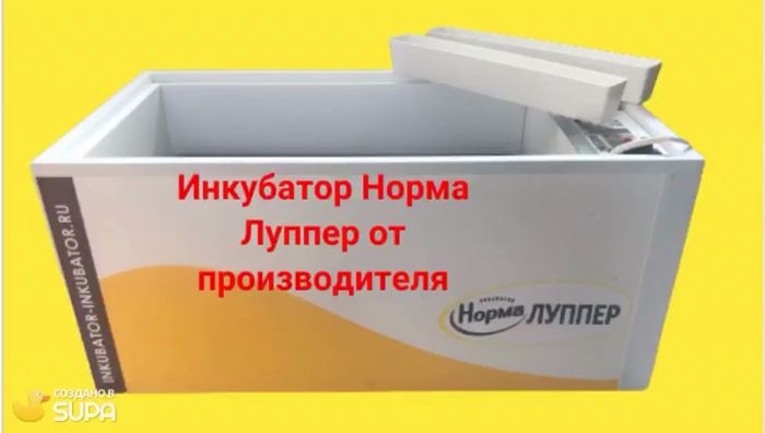 Норма производитель