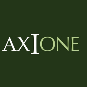 Компания Axione