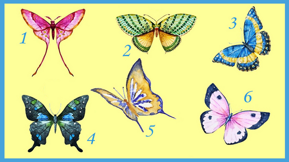 Бабочка какая признаки. Выбери бабочку. Тест бабочка. Подбери крыло бабочке. Бабочка психология.