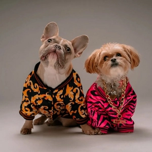 Luxury Pets