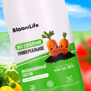 BloomLife