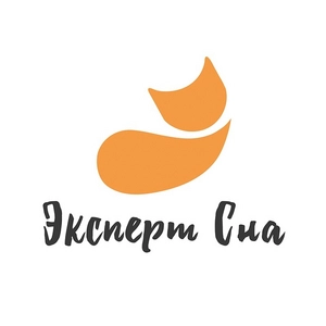 Эксперт Сна