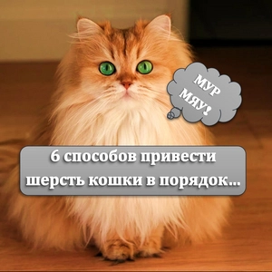 Дендиберя Валентина Викторовна
