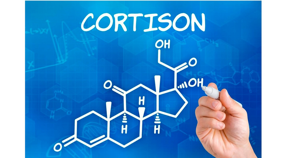 Кортизол — гормон стресса
