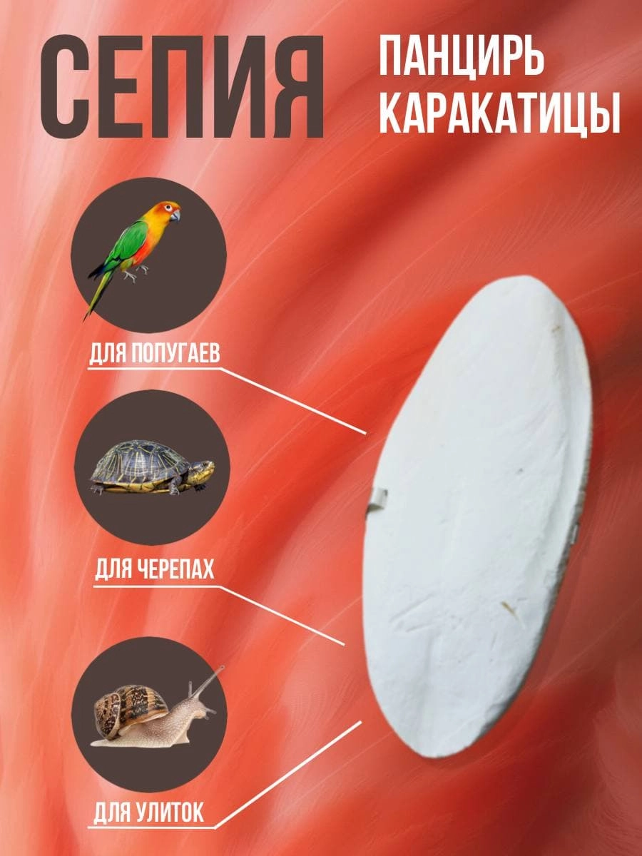 Попугайчик