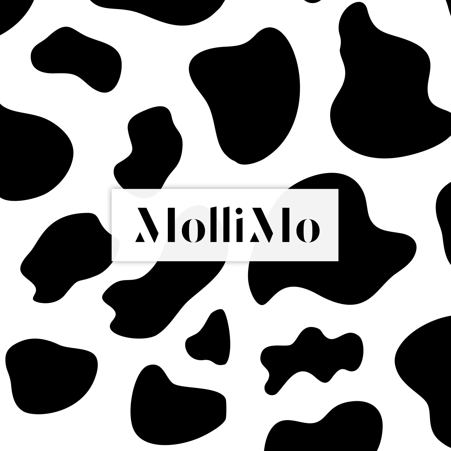 MolliMo
