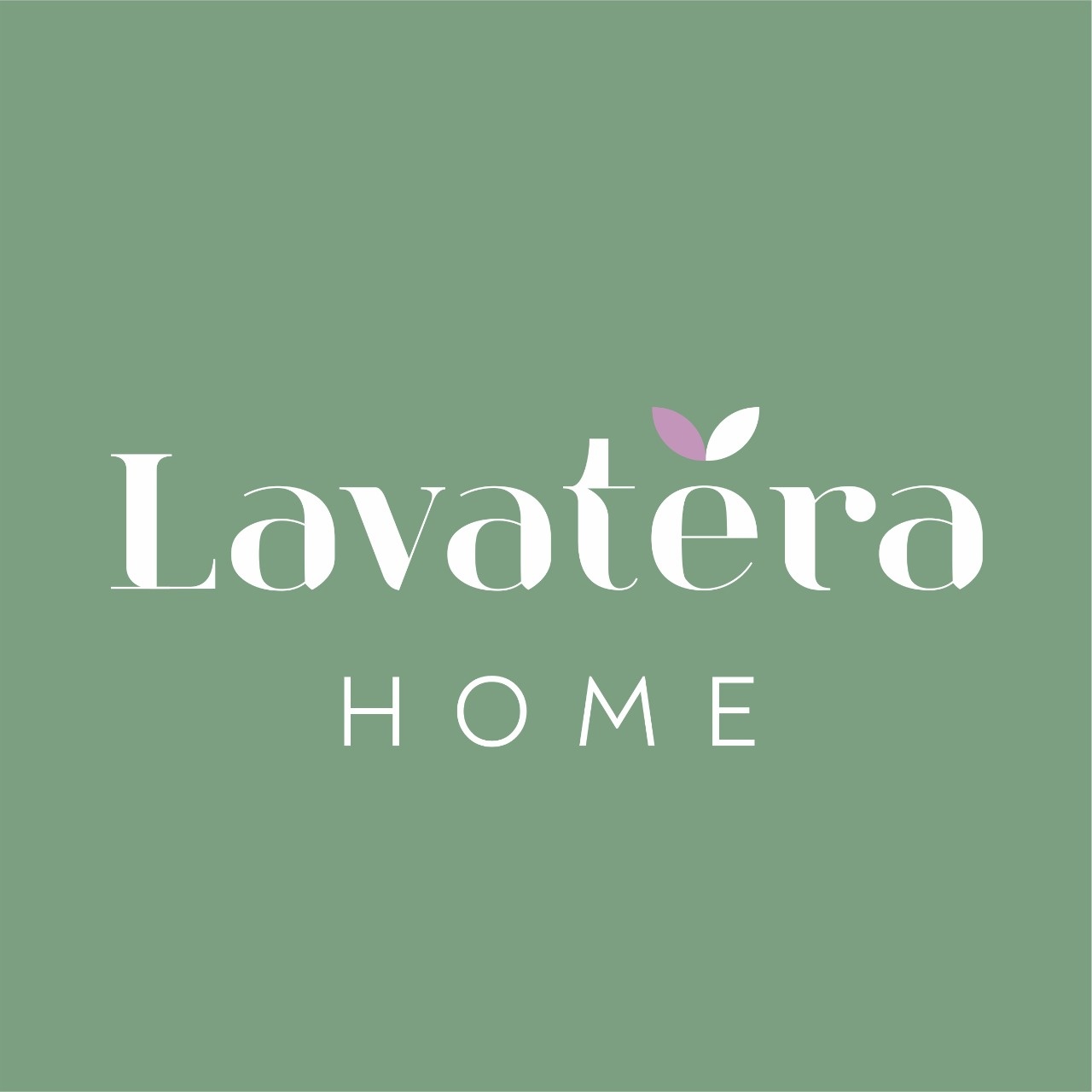 Lavatera_Home