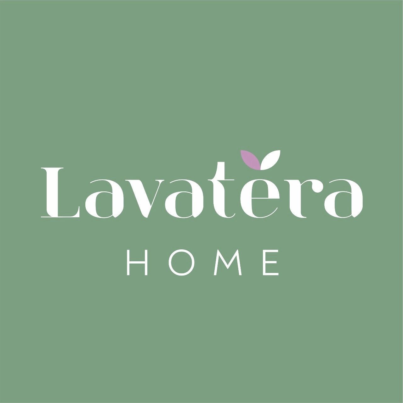 Lavatera_Home