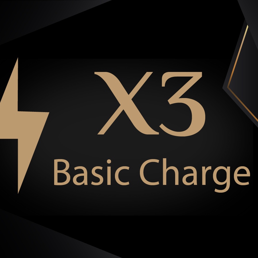 X3 Basic Charge
