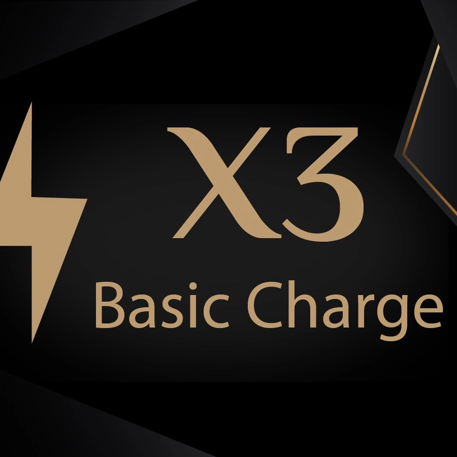 X3 Basic Charge