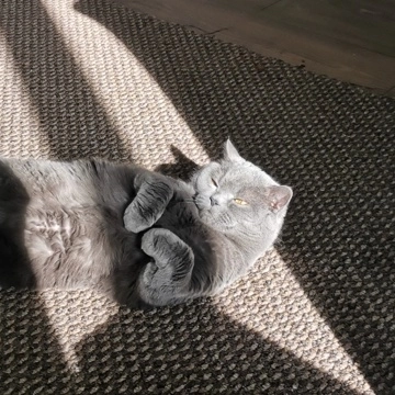 Глаша