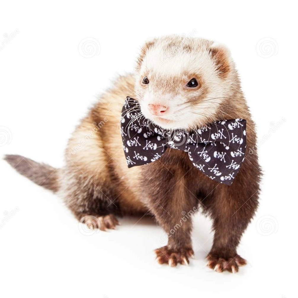 ХарЕк