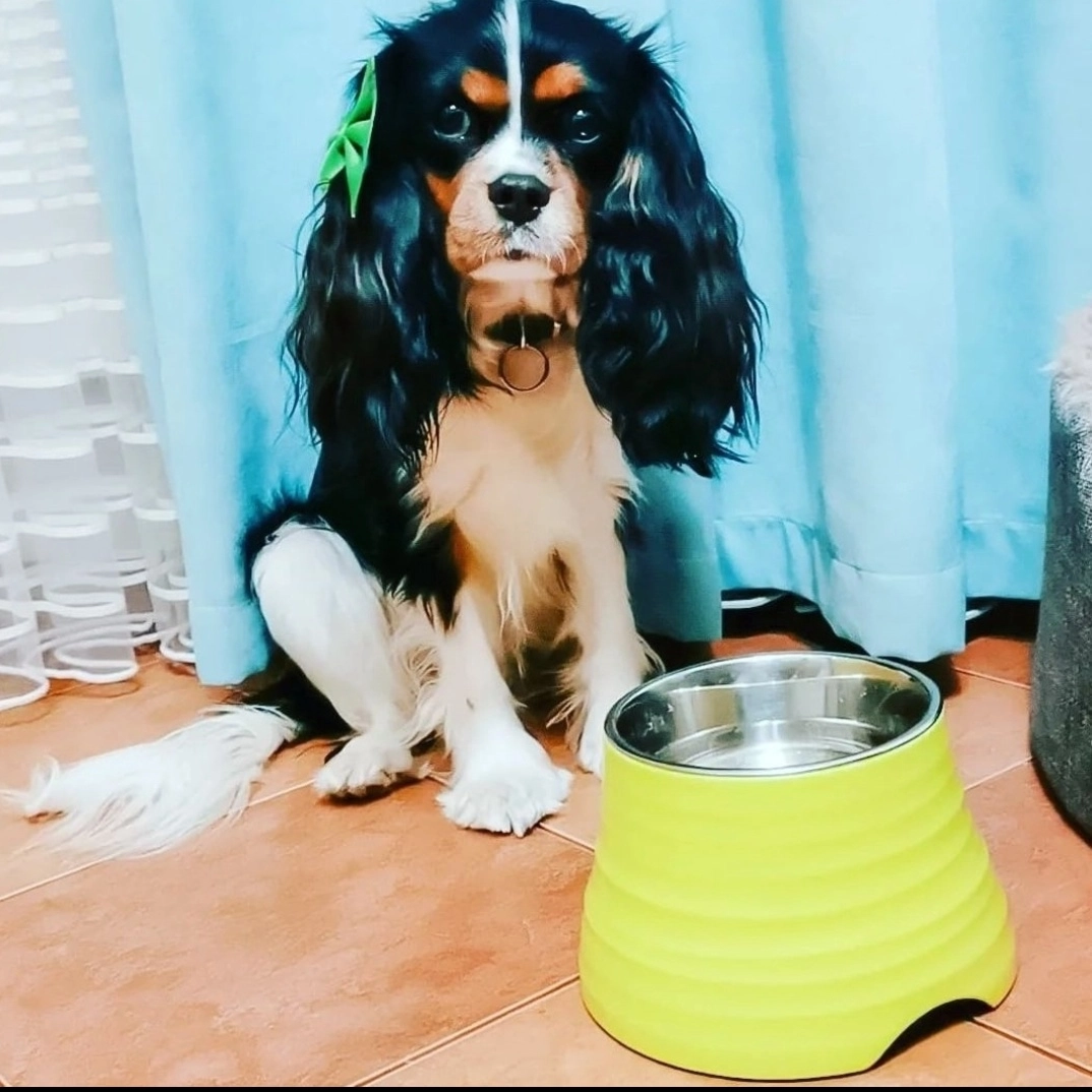 Юлия Анохина