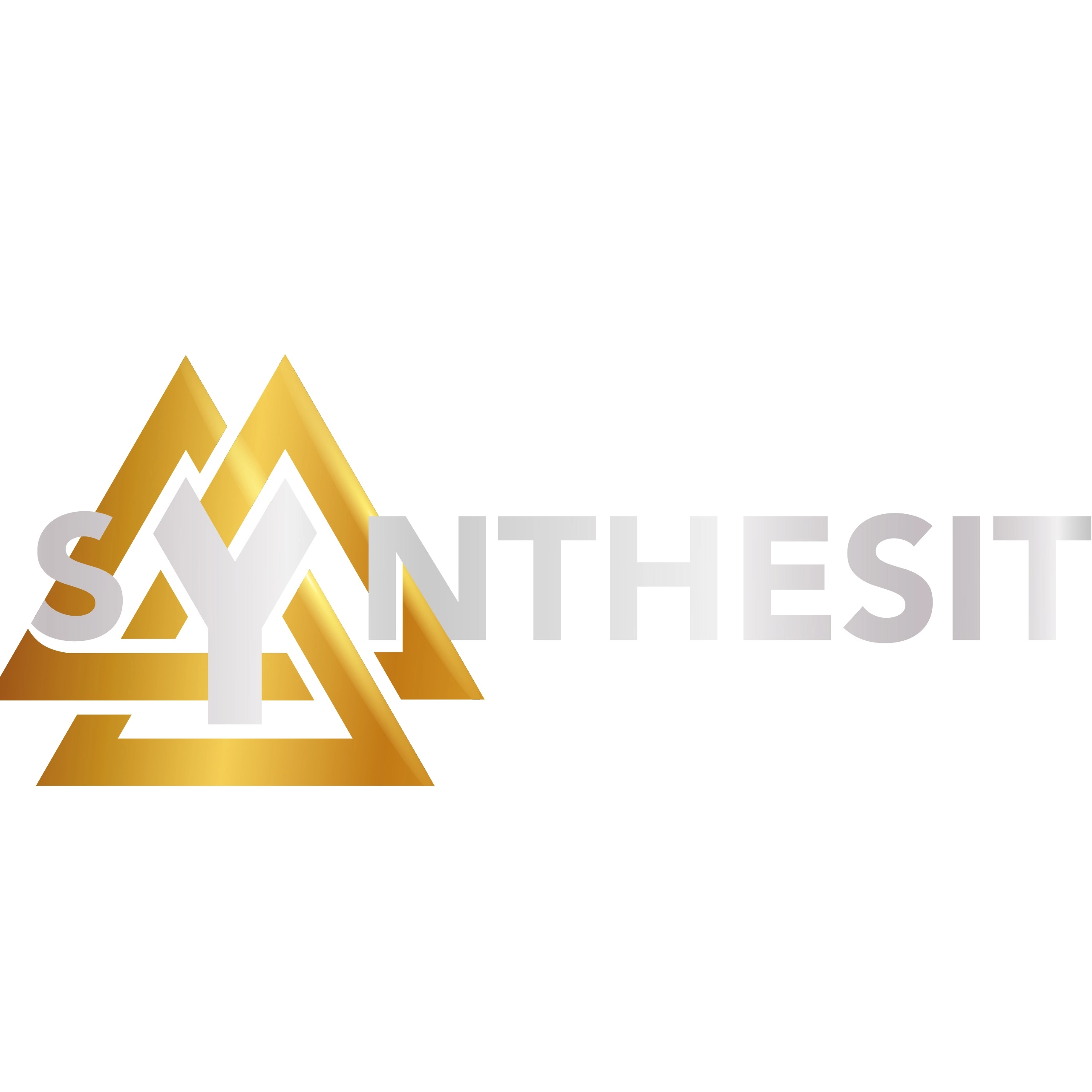 Synthesit Team