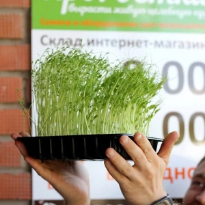 никольские Проростки