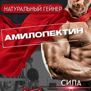 Амилогейн