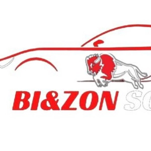 BiZonGN